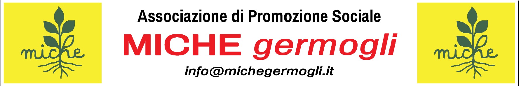 MICHEGERMOGLI